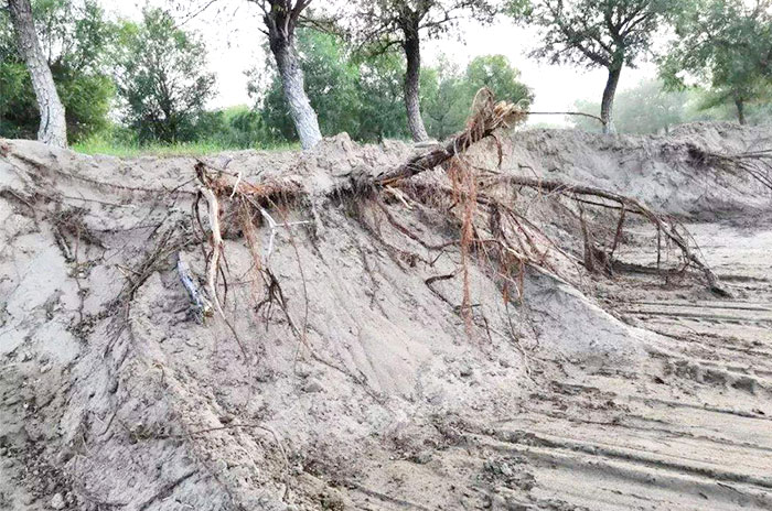 長期采沙，生態(tài)遭到嚴(yán)重破壞